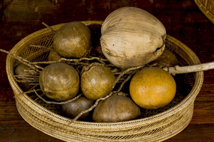 Panière de fruits à coques